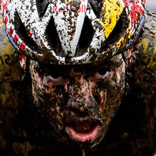 Rising Above The Mud