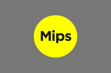 MIPS&reg;-BRAIN PROTECTION SYSTEM